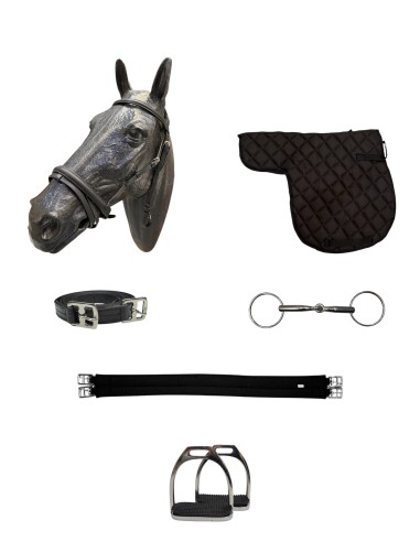 Kit equipación Silla Inglesa Uso General