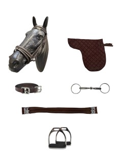 Kit Equipación Silla... 2