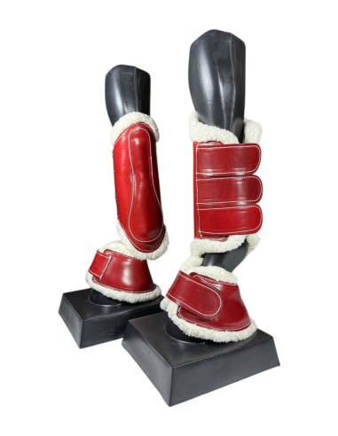 Juego de Campana y Protector de...