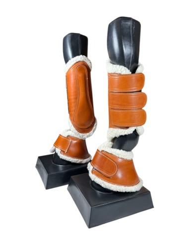 Juego de Campana y Protector de...