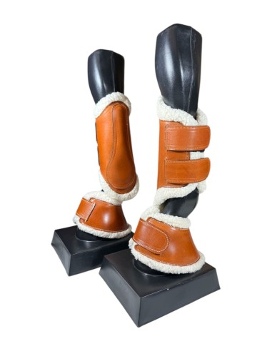 Juego de Campana y Protector de...