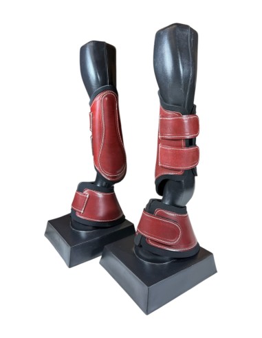 Juego de Campana y Protector de...