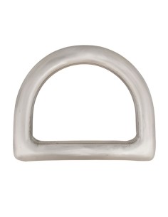 Stainless Steel D-Ring 2