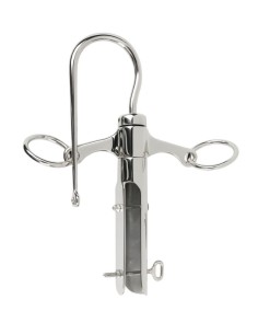 Punta Lanza Cuello Cisne...