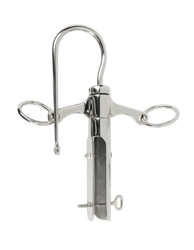 Punta Lanza Cuello Cisne Acero...