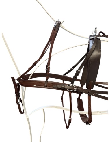 Pony Leather/Nylon Double Harness