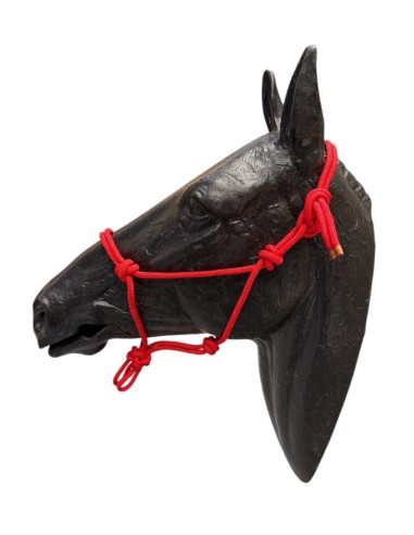 Rope Halter