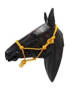 Cabezada Cuadra Cuerda Amarillo