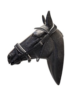 Cabezada Inglesa 4 Riendas