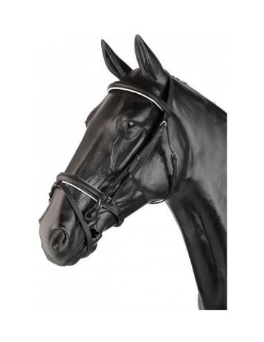 English Leather 1 rein Bridle