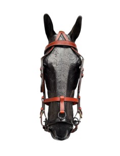 Calesero Bridle 2
