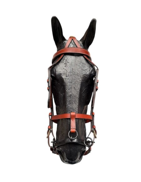 Quita y Pon Enganche Calesero Avellana frontal