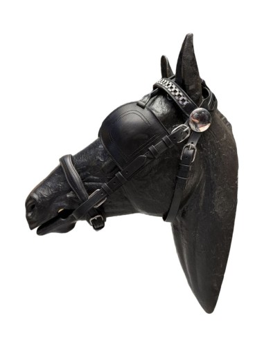 Quita y Pon Enganche Inglés