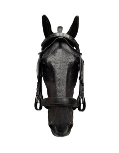 English Bridle 2