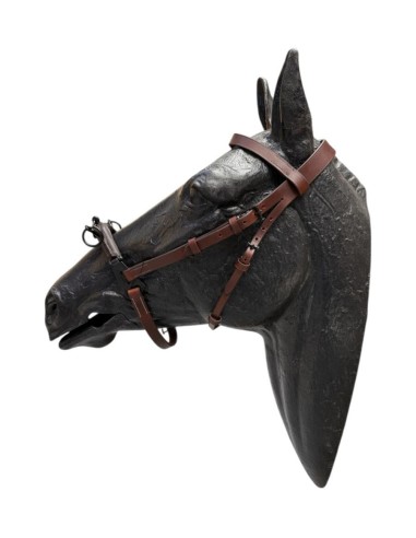 3 Pillars Leather Halter with Cavesson