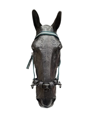 3 Pillars Nylon Halter with Cavesson