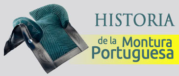 Historia de la Silla Portuguesa