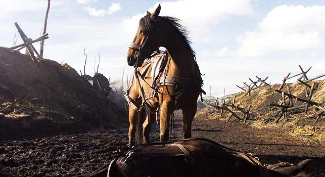caballos de cine