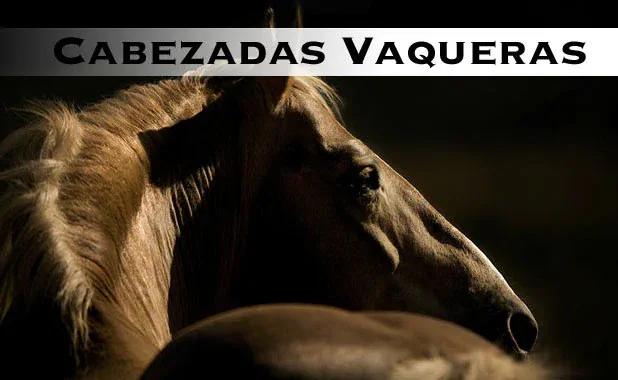 cabeza para caballos