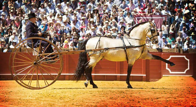 enganches de caballos tipos