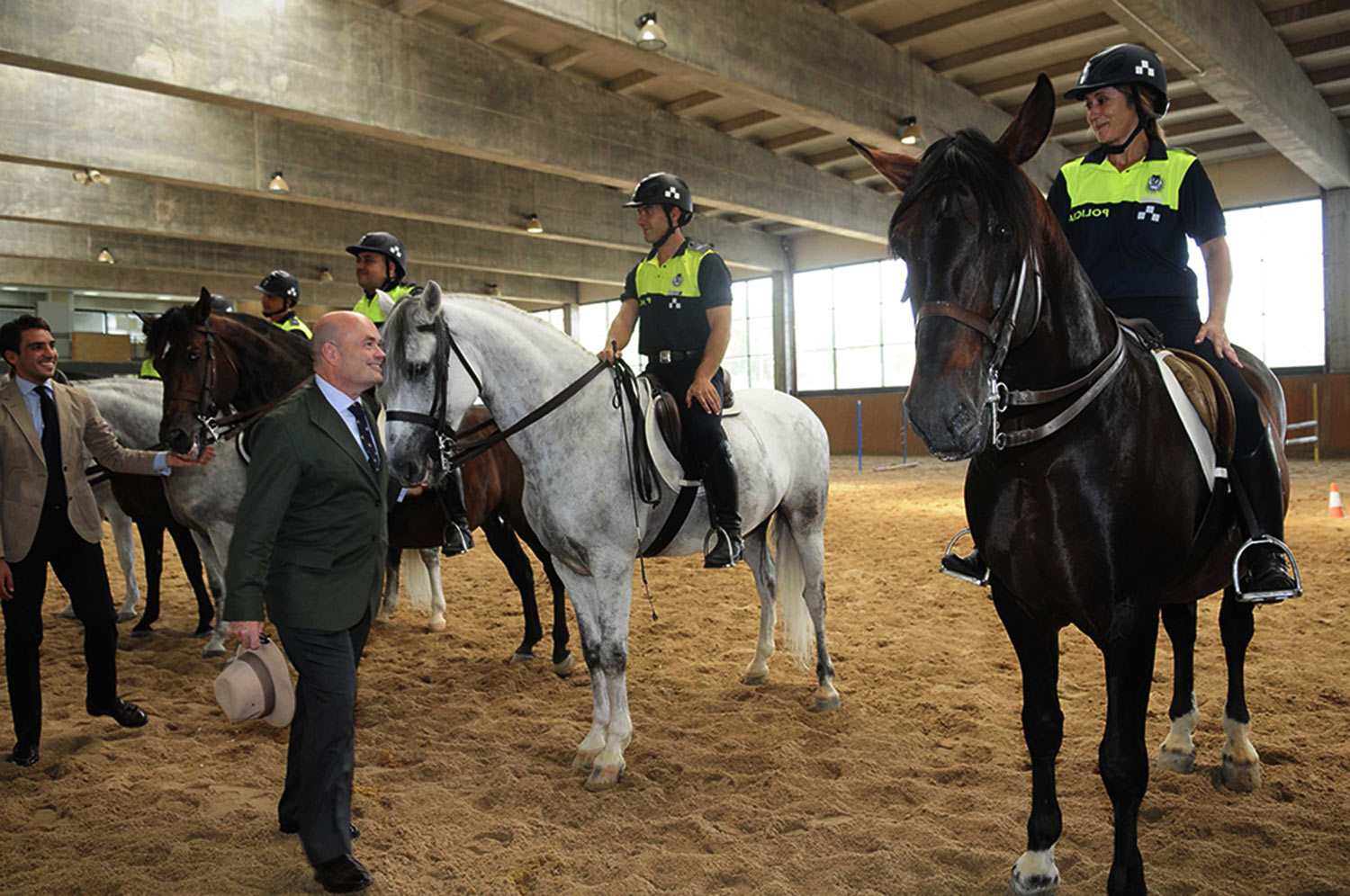 caballos-de-policia