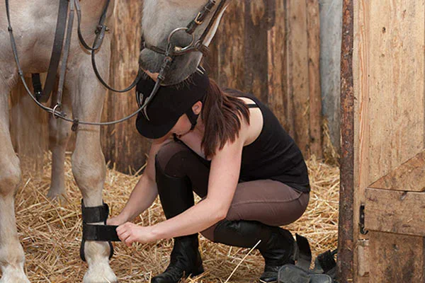 Protectores para caballos