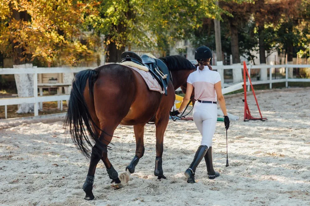 Montura española,The traditional Spanish Saddle