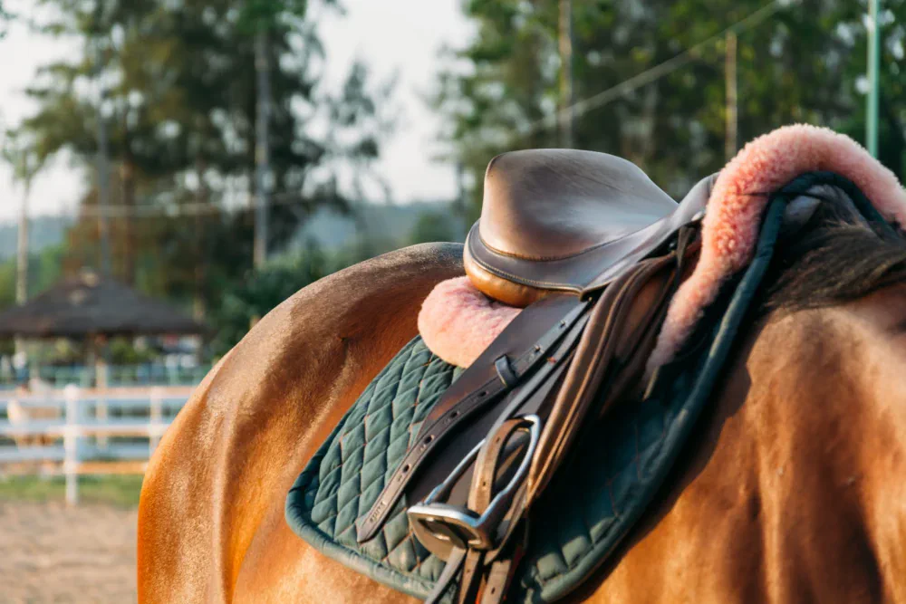 Montura Ideal para tu Caballo