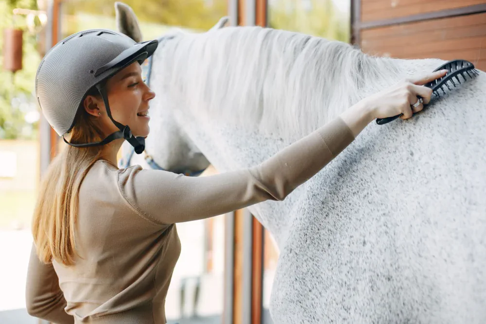 cepillado del caballo horse brushing