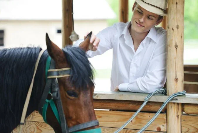 pupilaje de caballos