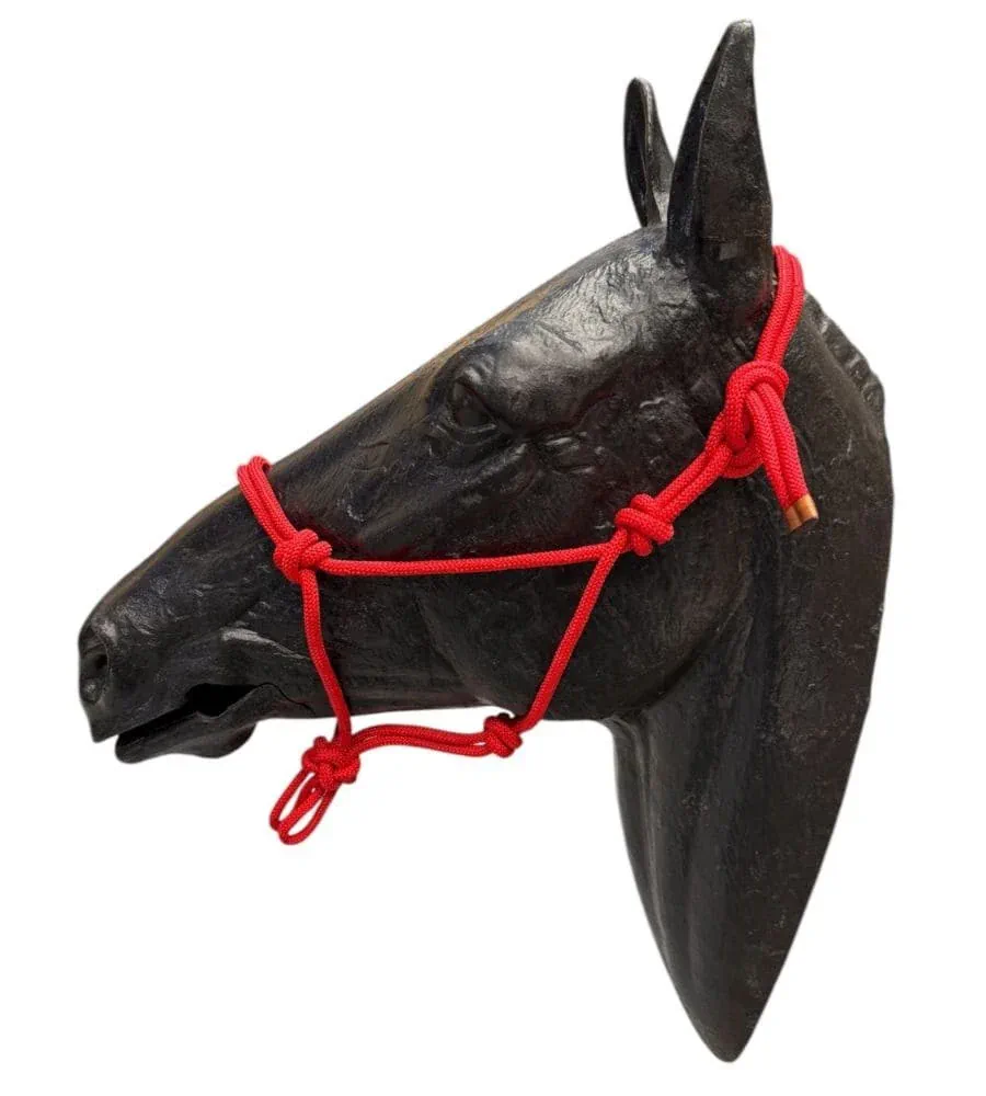 Cabezada Cuadra Cuerda