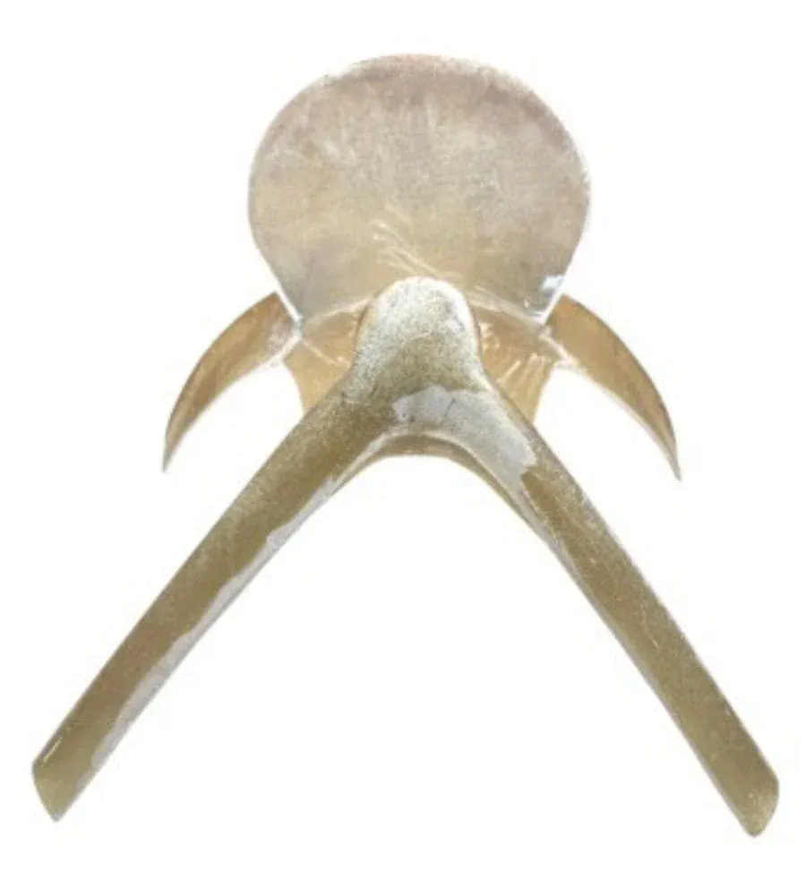 Casco Silla Vaquera Fibra