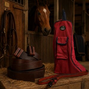 Accesorios para caballos
