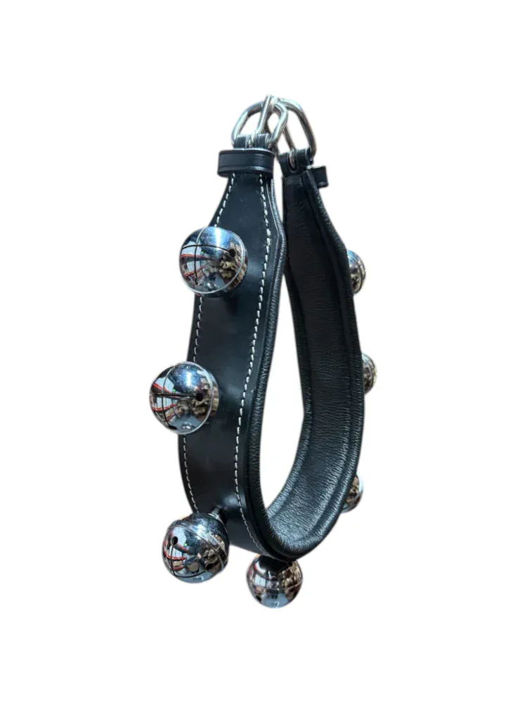 Ahogadero Cascabeles