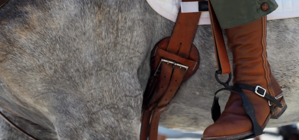 Caballo tordo ensillado con montura de cuero y manta bajo la silla