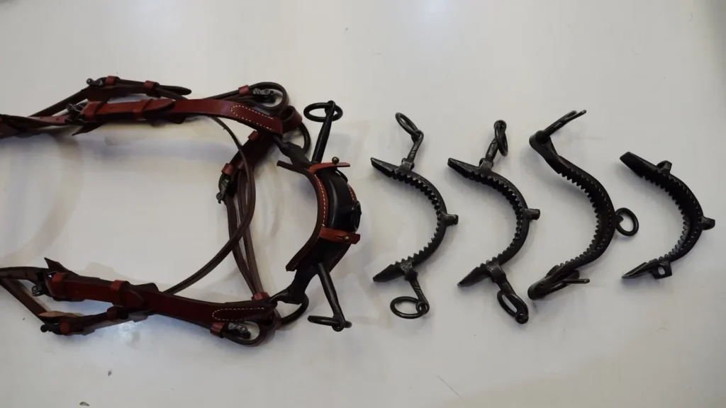 Cabezada vaquera de cuero junto a cuatro serretas de hierro sobre la mesa de Curtisur