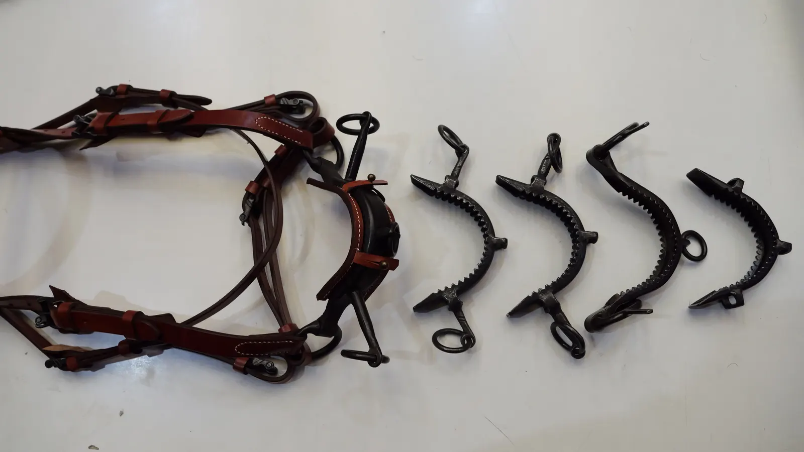 Cabezada vaquera de cuero junto a cuatro serretas de hierro sobre la mesa de Curtisur